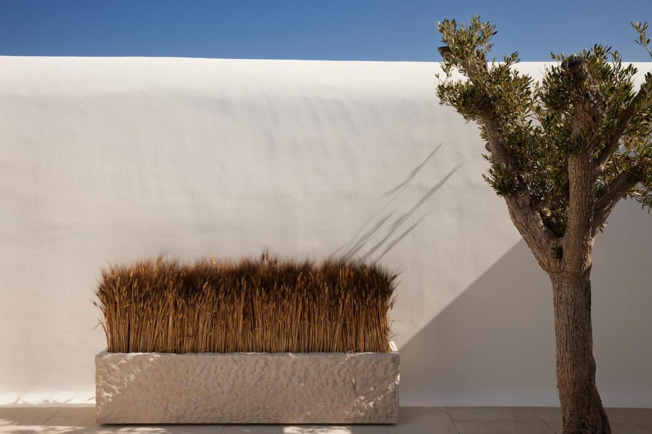 Hotel Kalesma Mykonos Ornos  Exterior foto